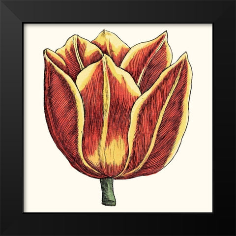 Tulip Garden IV Black Modern Wood Framed Art Print by Vision Studio