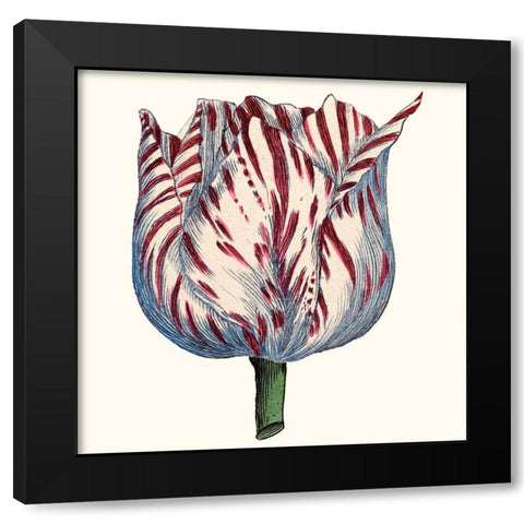 Tulip Garden VI Black Modern Wood Framed Art Print with Double Matting by Vision Studio