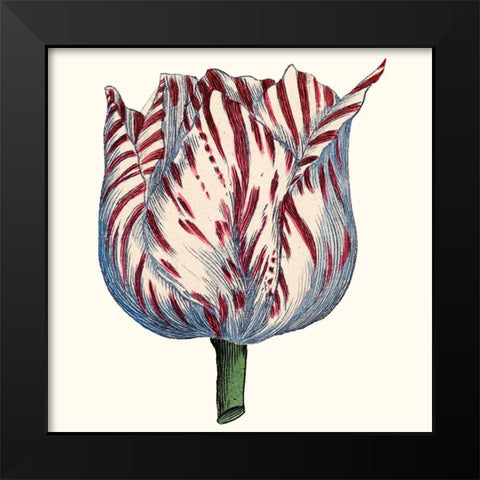 Tulip Garden VI Black Modern Wood Framed Art Print by Vision Studio