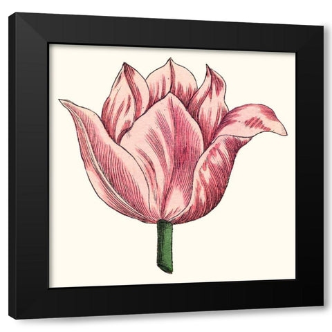 Tulip Garden VII Black Modern Wood Framed Art Print with Double Matting by Vision Studio