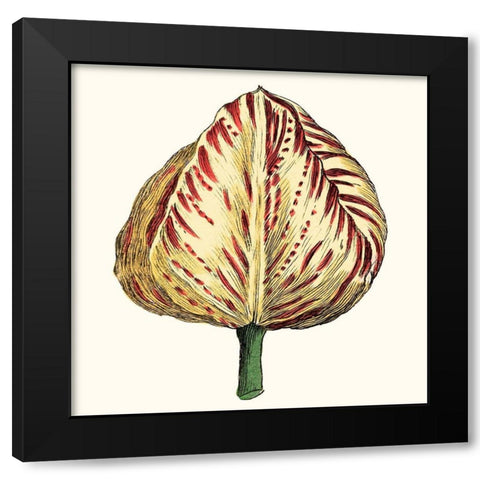 Tulip Garden IX Black Modern Wood Framed Art Print with Double Matting by Vision Studio