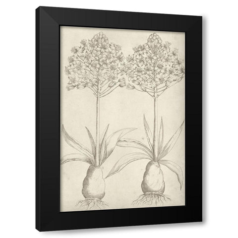 Fresco Floral I Black Modern Wood Framed Art Print by Vision Studio