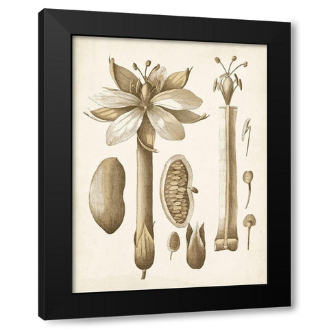 Ochre Botanical I Black Modern Wood Framed Art Print with Double Matting by Vision Studio