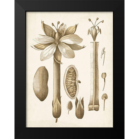 Ochre Botanical I Black Modern Wood Framed Art Print by Vision Studio