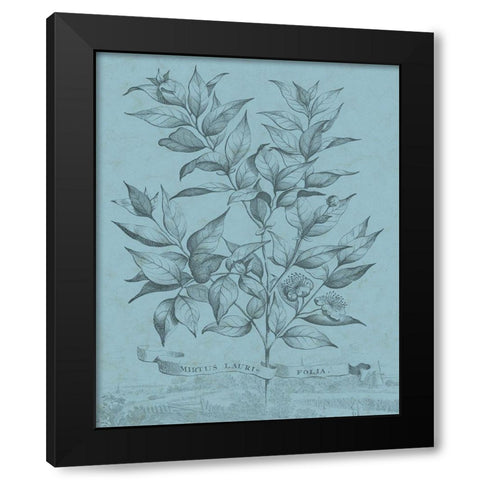 Botanical on Teal I Black Modern Wood Framed Art Print with Double Matting by Vision Studio