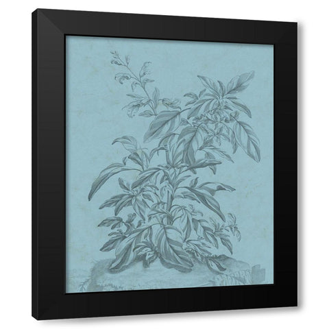 Botanical on Teal III Black Modern Wood Framed Art Print with Double Matting by Vision Studio