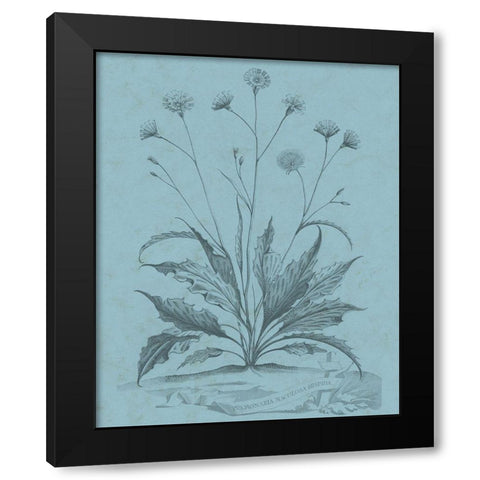 Botanical on Teal IV Black Modern Wood Framed Art Print with Double Matting by Vision Studio