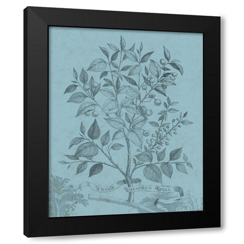 Botanical on Teal V Black Modern Wood Framed Art Print by Vision Studio