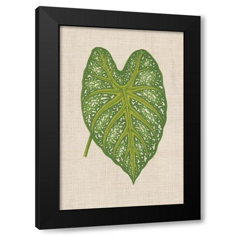 Leaves on Linen I Black Modern Wood Framed Art Print with Double Matting by Unknown
