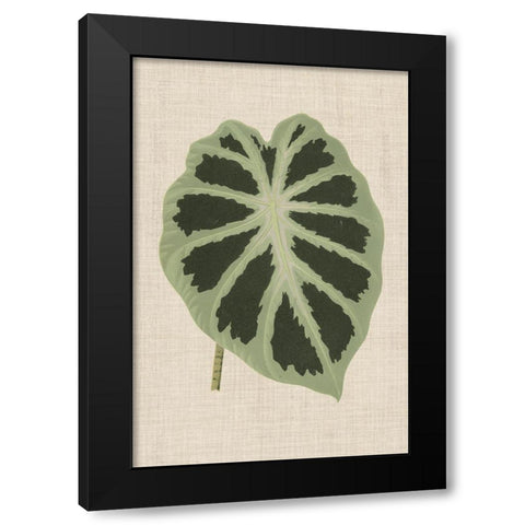 Leaves on Linen II Black Modern Wood Framed Art Print by Unknown