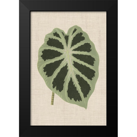 Leaves on Linen II Black Modern Wood Framed Art Print by Unknown