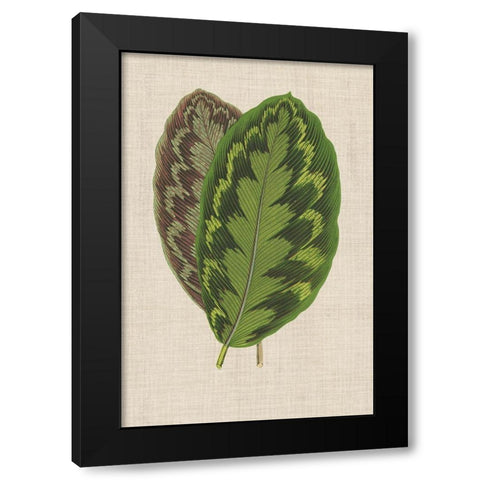 Leaves on Linen IV Black Modern Wood Framed Art Print by Unknown
