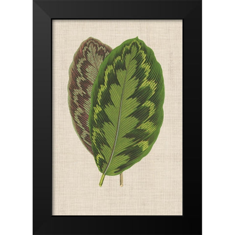 Leaves on Linen IV Black Modern Wood Framed Art Print by Unknown