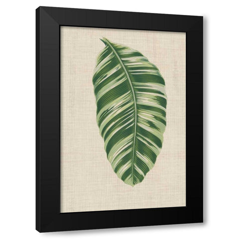 Leaves on Linen VI Black Modern Wood Framed Art Print by Unknown