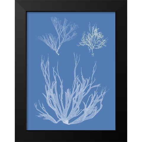 Seaweed Cyanotype I Black Modern Wood Framed Art Print by Vision Studio