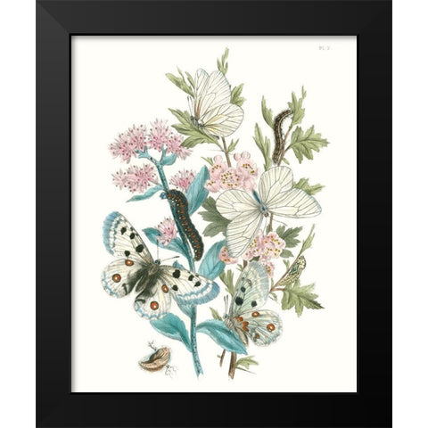 British Butterflies III Black Modern Wood Framed Art Print by Unknown