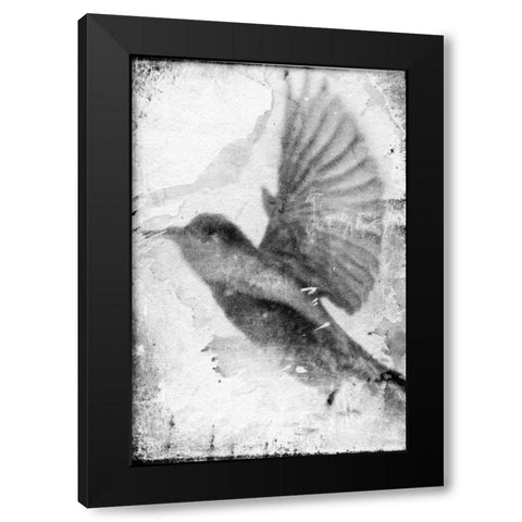 B and W Flight II Black Modern Wood Framed Art Print with Double Matting by Blixt, Ingrid