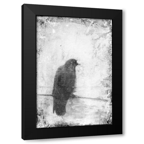 B and W Flight VI Black Modern Wood Framed Art Print with Double Matting by Blixt, Ingrid