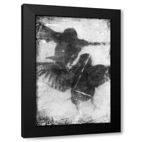 B and W Flight VII Black Modern Wood Framed Art Print with Double Matting by Blixt, Ingrid