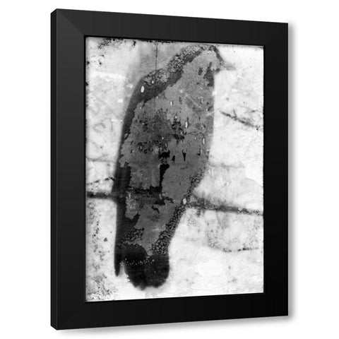 B and W Flight IX Black Modern Wood Framed Art Print with Double Matting by Blixt, Ingrid