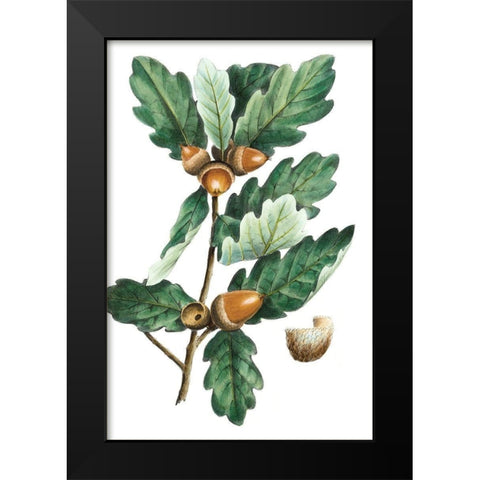 Douglas Oak Black Modern Wood Framed Art Print by Nuttall, Thomas