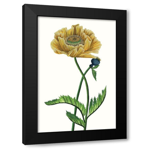 Poppy Flower I Black Modern Wood Framed Art Print by Wang, Melissa