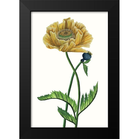 Poppy Flower I Black Modern Wood Framed Art Print by Wang, Melissa