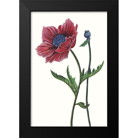 Poppy Flower II Black Modern Wood Framed Art Print by Wang, Melissa