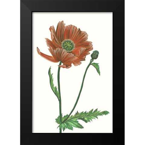 Poppy Flower III Black Modern Wood Framed Art Print by Wang, Melissa