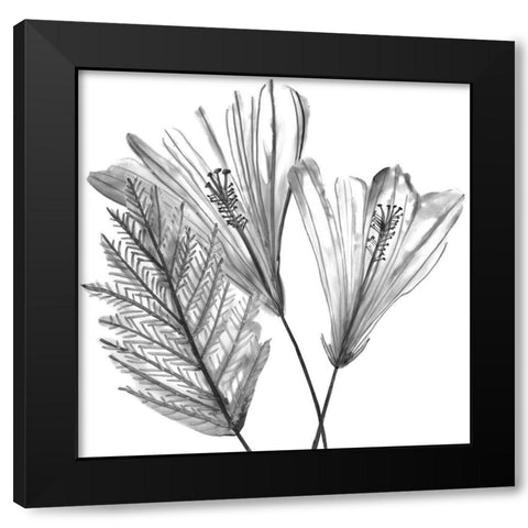Floral Silhouette II Black Modern Wood Framed Art Print with Double Matting by Wang, Melissa