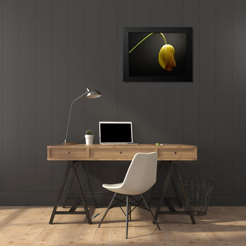 Studio Flowers IX Black Modern Wood Framed Art Print by McLoughlin, James