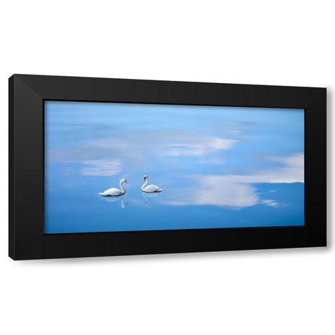 Dusk and Water VI Black Modern Wood Framed Art Print with Double Matting by McLoughlin, James