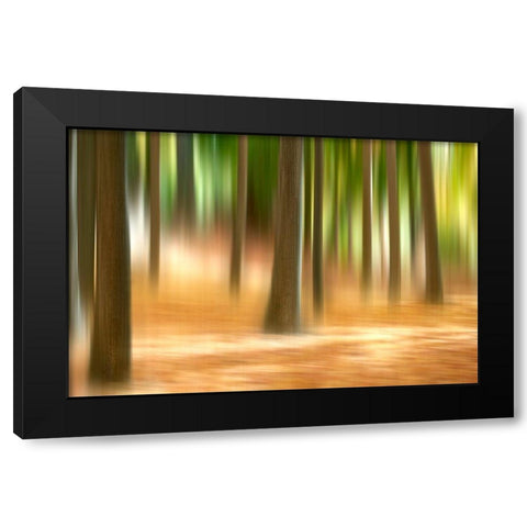 Forest Run III Black Modern Wood Framed Art Print with Double Matting by McLoughlin, James