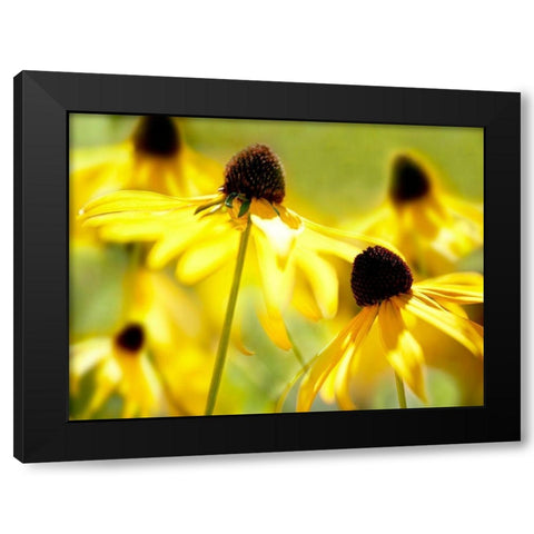 Susan Study II Black Modern Wood Framed Art Print with Double Matting by McLoughlin, James