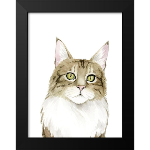 Cat Portrait IV Black Modern Wood Framed Art Print by Popp, Grace