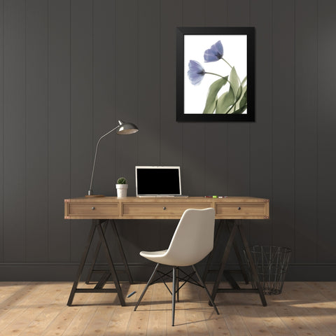 Xray Tulip III Black Modern Wood Framed Art Print by Stalus, Judy