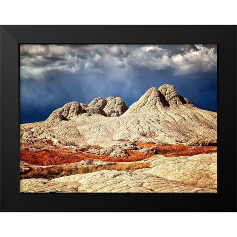 Valley Beauty I Black Modern Wood Framed Art Print by Drost, David