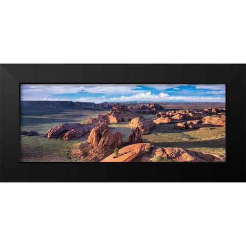 Valley Beauty VIII Black Modern Wood Framed Art Print by Drost, David