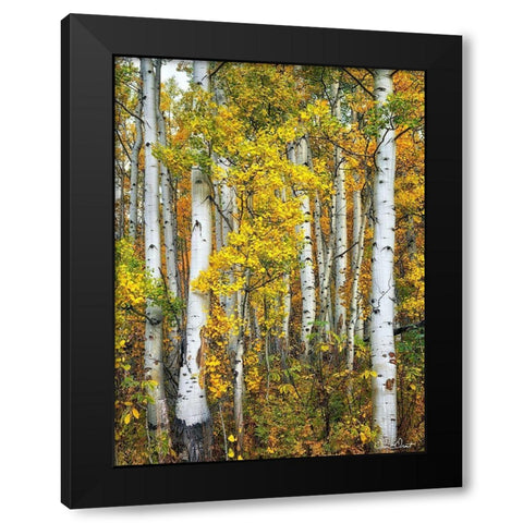 Yellow Woods V Black Modern Wood Framed Art Print by Drost, David