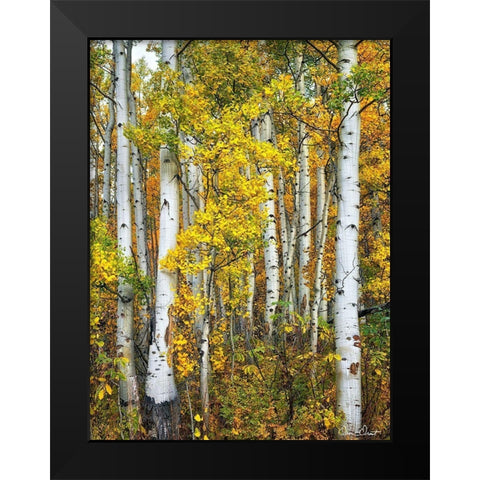 Yellow Woods V Black Modern Wood Framed Art Print by Drost, David