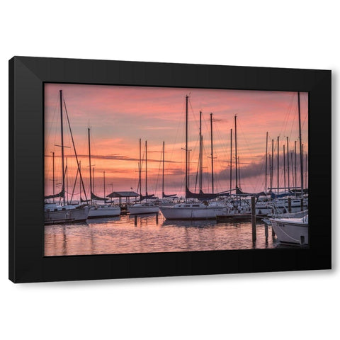 Dawning Day Black Modern Wood Framed Art Print with Double Matting by Head, Danny