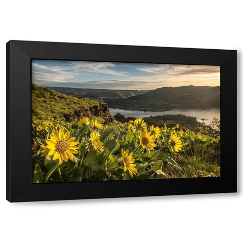 Soaking Up the Sun Black Modern Wood Framed Art Print by Head, Danny