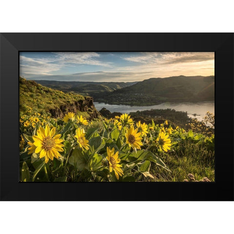 Soaking Up the Sun Black Modern Wood Framed Art Print by Head, Danny