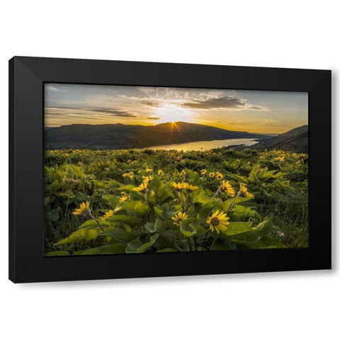 Wake Up Call Black Modern Wood Framed Art Print by Head, Danny