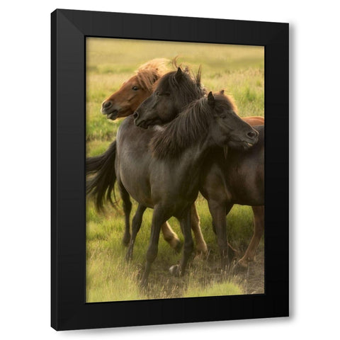 Play Time Black Modern Wood Framed Art Print by Head, Danny