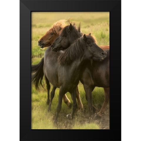 Play Time Black Modern Wood Framed Art Print by Head, Danny