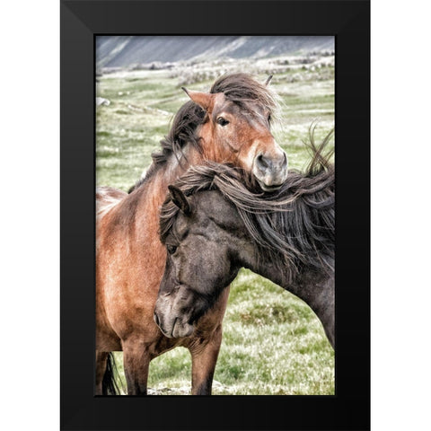 Best Friends Black Modern Wood Framed Art Print by Head, Danny