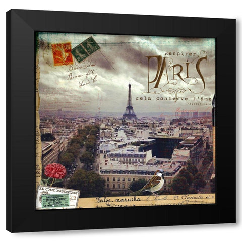 Eiffel Romance I Black Modern Wood Framed Art Print with Double Matting by Lloyd, Sandy