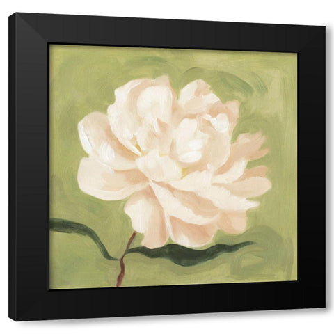 Peony on Olive I Black Modern Wood Framed Art Print with Double Matting by Scarvey, Emma