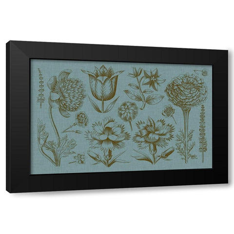 Flower Display II Black Modern Wood Framed Art Print by Vision Studio